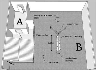 Do Emotional Cues Influence the Performance of Domestic Dogs in an Observational Learning Task?